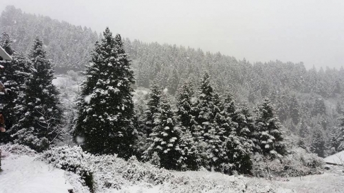 Κλειστά τα σχολεία Δευτέρα &amp; Τρίτη 26-27/02/18 λόγω έντονης χιονόπτωσης στο Δήμο Κ. Τζουμέρκων