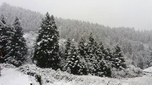 &Kappa;&lambda;&epsilon;&iota;&sigma;&tau;ά &tau;&alpha; &sigma;&chi;&omicron;&lambda;&epsilon;ί&alpha; &Delta;&epsilon;&upsilon;&tau;έ&rho;&alpha; &amp; &Tau;&rho;ί&tau;&eta; 26-27/02/18 &lambda;ό&gamma;&omega; έ&nu;&tau;&omicron;&nu;&eta;&sigmaf; &chi;&iota;&omicron;&nu;ό&pi;&tau;&omega;&sigma;&eta;&sigmaf; &sigma;&tau;&omicron; &Delta;ή&mu;&omicron; &Kappa;. &Tau;&zeta;&omicron;&upsilon;&mu;έ&rho;&kappa;&omega;&nu;