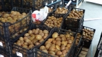 &Delta;&iota;&alpha;&nu;&epsilon;&mu;ή&theta;&eta;&kappa;&alpha;&nu; 4 &tau;ό&nu;&omicron;&iota; &alpha;&kappa;&tau;&iota;&nu;ί&delta;&iota;&alpha; &sigma;&tau;&omicron;&nu; &Delta;ή&mu;&omicron; &Kappa;&epsilon;&nu;&tau;&rho;&iota;&kappa;ώ&nu; &Tau;&zeta;&omicron;&upsilon;&mu;έ&rho;&kappa;&omega;&nu;