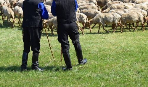 &Alpha;&pi;&alpha;&gamma;ό&rho;&epsilon;&upsilon;&sigma;&eta; &beta;&omicron;&sigma;&kappa;ή&sigmaf; &alpha;&pi;ό &Pi;&alpha;&lambda;&iota;&omicron;&upsilon;&rho;&iota;ώ&tau;&iota;&kappa;&omicron; &Kappa;. &Alpha;&theta;&alpha;&mu;&alpha;&nu;ί&omicron;&upsilon; &mu;έ&chi;&rho;&iota; &Delta;ά&sigma;&omicron;&sigmaf; &Mu;&epsilon;&lambda;&alpha;&tau;ώ&nu;